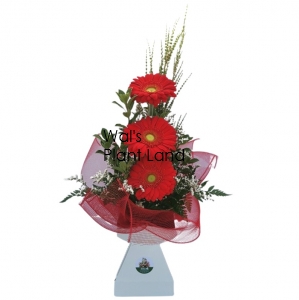 BOUQUET TRI-SURPRISE