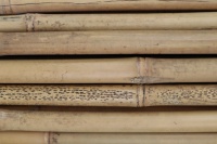 BAMBOO STAKES 1.2M