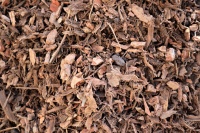 WAL'S CLASSIC BARK NUGGETS - LOOSE SCOOP