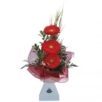 BOUQUET TRI-SURPRISE