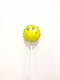 THOUGHTFUL OPTION 4.5 INCH MINI-BALLOONS