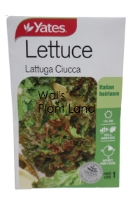 LETTUCE LATTUGA CIUCCA PACKET