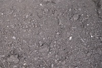 WAL'S SUPER DIRT LOOSE SCOOP BULK
