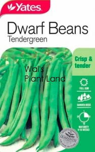 BEANS TENDERGREEN SEED PACKET