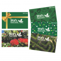 Vouchers & Tickets