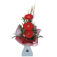 BOUQUET TRI-SURPRISE