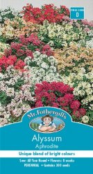 ALYSSUM APHRODITE SEED PACKET