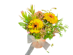 ARRANGEMENT YELLOW & GREEN