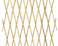 BAMBOO STAKE 180CMX26/28MM