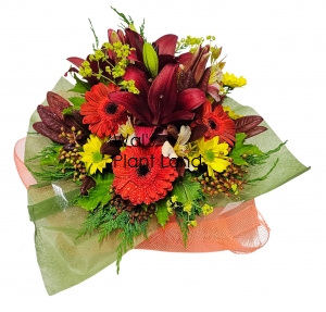 ARRANGEMENT RED HOT