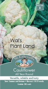 CAULIFLOWER ALL YEAR SEED PACKET