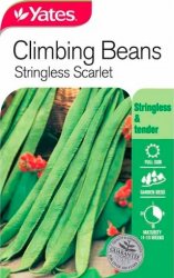 BEANS SCARLET RUNNER STRINGLESS SEED PACKET