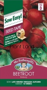 BEETROOT BOLTARDY SEED TAPE