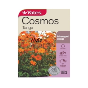 COSMO TANGO SEED PACKET